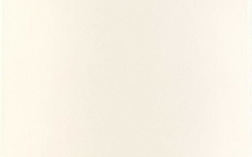 Wandfliese Weiß matt Presskante 31x62 cm
